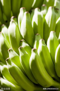 ​香蕉有没有种子（香蕉种植管理技术）