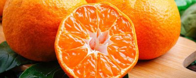 ​橘子白色的丝叫什么名字